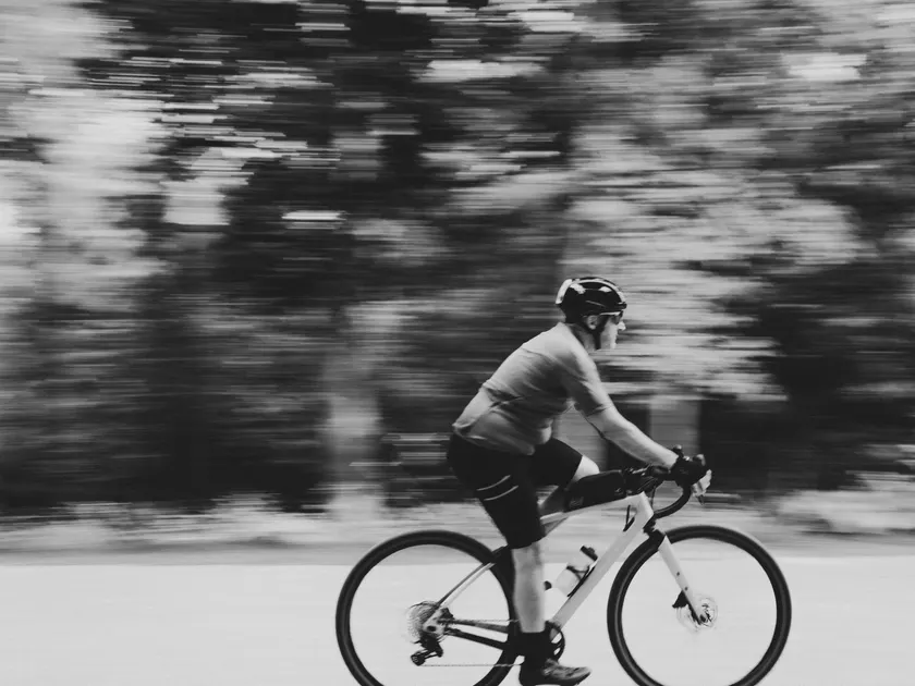 راكب يمر عبر ضباب من الجذوع الشاحبة والأوراق الداكنة.