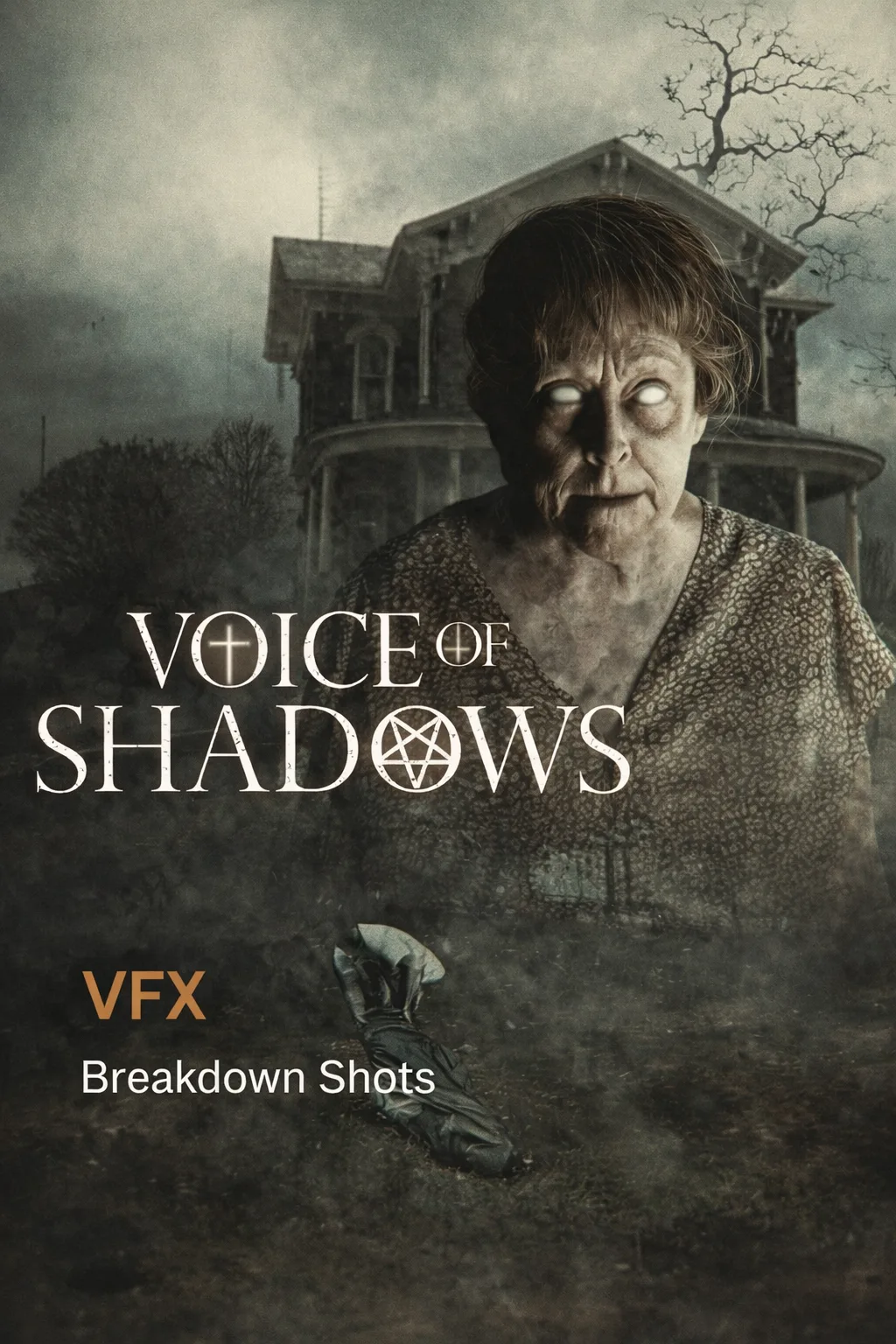 Voice of Shadows poster