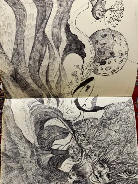 Layered organic shapes weave together across a two-part drawing.
