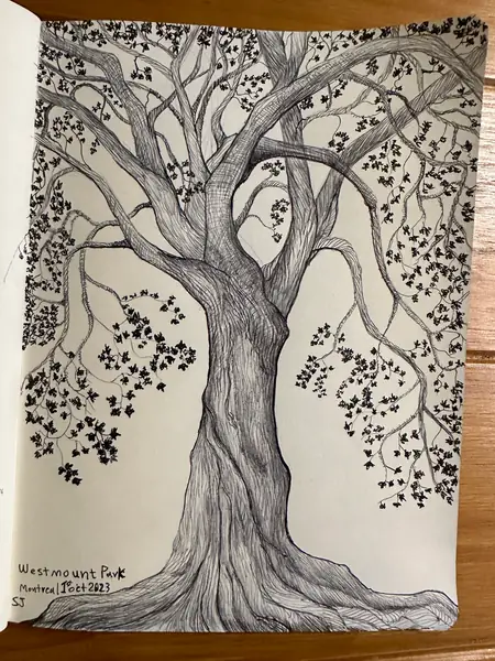 A drawn tree divides a finely textured arrangement of branches and marks.