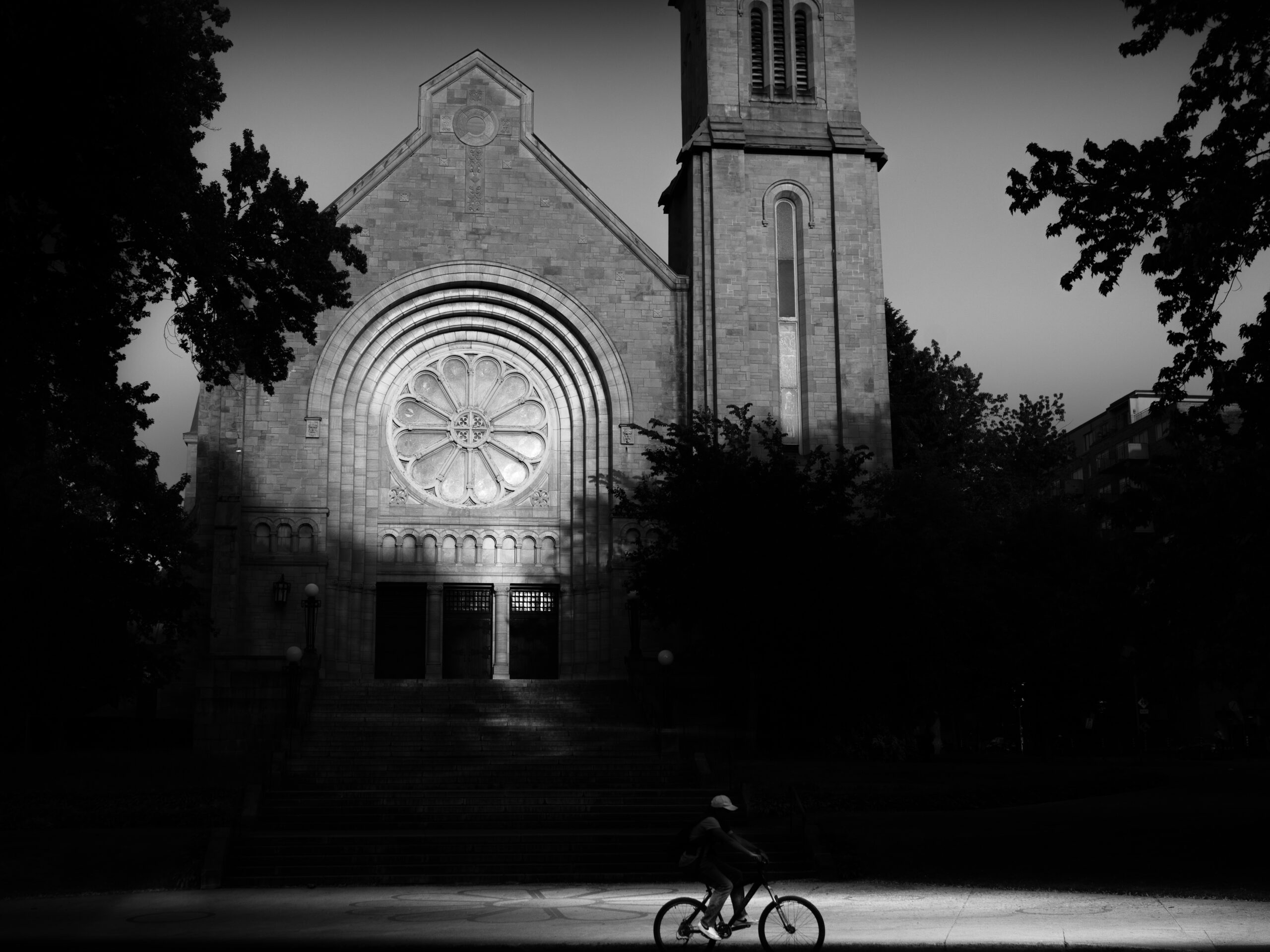 Sardar Jaff سردار شهريار داوود Photography