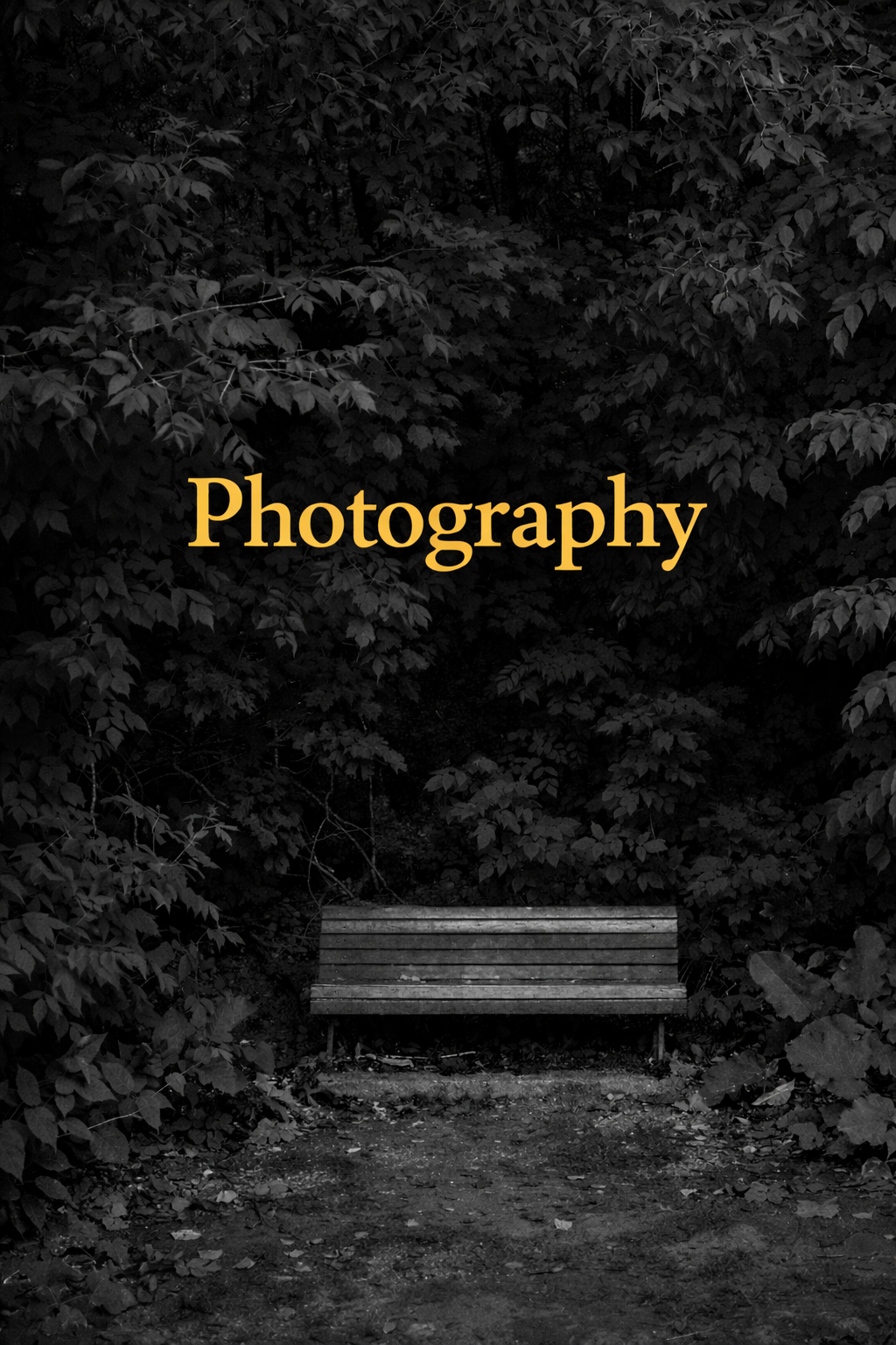 photography poster