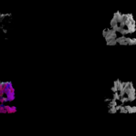 sardar jx fxcontactsheetv001